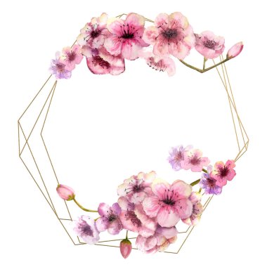 Kiraz çiçeği, Sakura şube altın çerçeve ve izole beyaz arka plan üzerinde pembe çiçekli. Bahar görüntüsü. Çerçeve. Sulu boya resim. Tasarım öğeleri