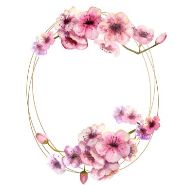 Kiraz çiçeği, Sakura şube altın çerçeve ve izole beyaz arka plan üzerinde pembe çiçekli. Bahar görüntüsü. Çerçeve. Sulu boya resim. Tasarım öğeleri