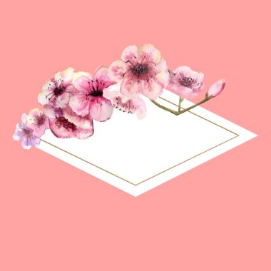 Kiraz çiçeği, Sakura şube güzel pembe bir arka plan ile altın çerçeve içinde pembe çiçekli. Bahar görüntüsü. Çerçeve. Sulu boya resim. Tasarım öğesi. Elmas şeklinde çerçeve
