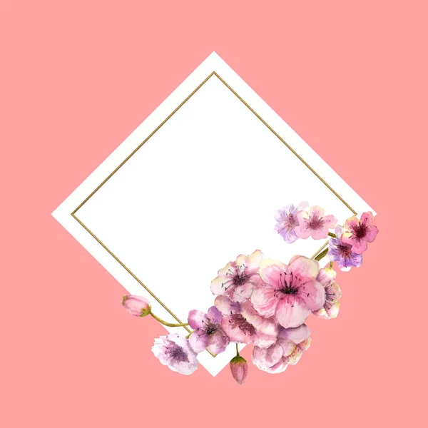Třešňový květ, Sakura větev s růžovými květy ve zlatém rámu s krásné růžové pozadí. Obrázek z jara. Rám. Akvarelu ilustrace. Designový prvek. Kosočtvercový rám — Stock fotografie