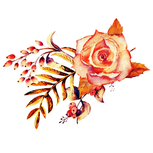 Pembe Gül çiçek, yeşil yaprakları, kırmızı meyveler, dal, etc.graphic öğesi. Çiçekli düğün kavramı. Çiçek afiş, davetiye. Suluboya besteleri için tebrik kartı ve davetiye tasarım.