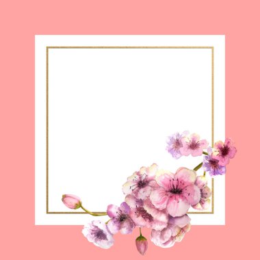 Kiraz çiçeği, Sakura şube güzel pembe bir arka plan ile altın çerçeve içinde pembe çiçekli. Bahar görüntüsü. Çerçeve. Sulu boya resim. Tasarım öğesi