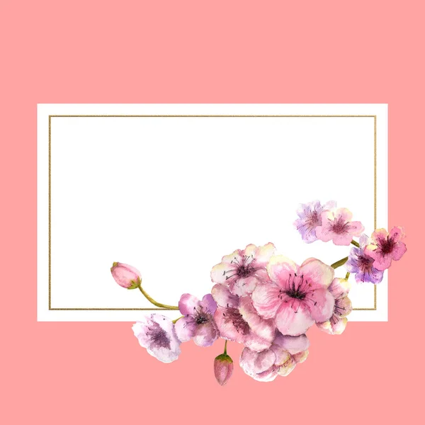 樱花分支与粉红色的花朵在金色的框架与美丽的粉红色背景 春天的图像 水彩插图 设计元素 — 图库照片