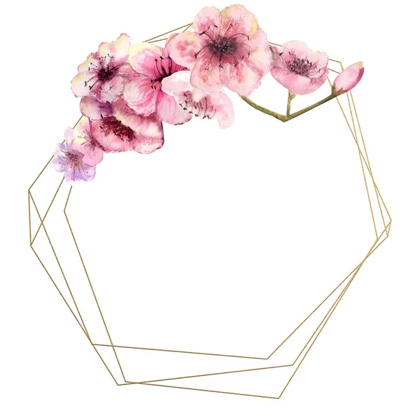 Kiraz Çiçeği Sakura Şube Altın Çerçeve Izole Beyaz Arka Plan — Stok fotoğraf
