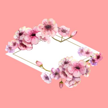 Kiraz çiçeği, Sakura şube güzel pembe bir arka plan ile altın çerçeve içinde pembe çiçekli. Bahar görüntüsü. Çerçeve. Sulu boya resim. Tasarım öğesi. Elmas şeklinde çerçeve
