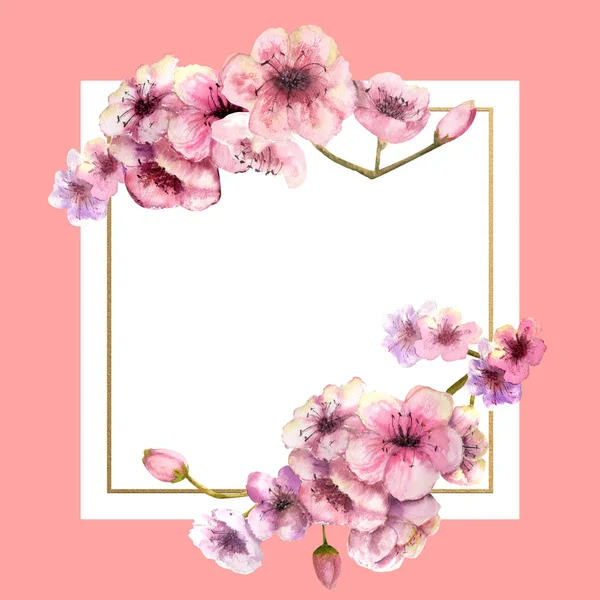 Kirschblüte, Sakura-Zweig mit rosa Blüten in goldenem Rahmen mit schönem rosa Hintergrund. Bild des Frühlings. Rahmen. Aquarell-Illustration. Gestaltungselement. quadratischer Rahmen — Stockfoto