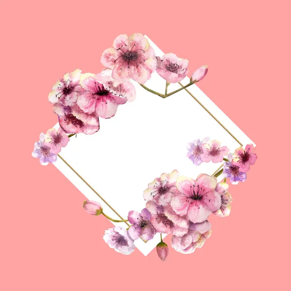 Flor de cerejeira, Sakura Branch com flores cor-de-rosa em moldura de ouro com belo fundo rosa. Imagem da primavera. Moldura. Ilustração aquarela. Elemento de design. Quadro em forma de diamante — Fotografia de Stock