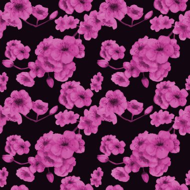 Dikişsiz desen. Kiraz rengi. Pembe çiçekler ile Sakura şube. Bahar görüntüsü. Çerçeve. Suluboya Illustration. Tasarım öğesi. Koyu arka planda Lila çiçekler