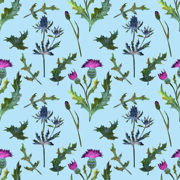 Nahtloses Muster. Wildblumen auf blau. das Bild des Sommers. Aquarell-Illustration. Gestaltungselement, — Stockfoto