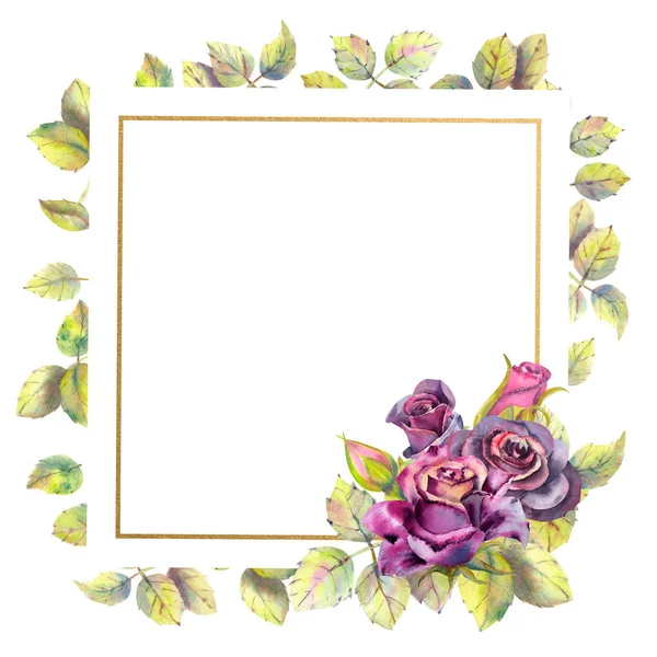 花的暗玫瑰，绿叶，组成在几何金框。婚礼花的概念。方形框架。花海报，邀请函用于 gre 设计的水彩组合物 — 图库照片