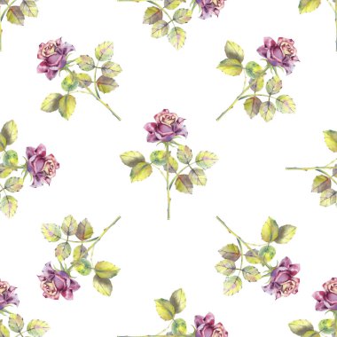 Kusursuz desen. Koyu gül çiçekleri, yeşil yapraklar. Çiçek posteri, davetiye. Tebrik kartı veya davetiye tasarımı için suluboya kompozisyonları.