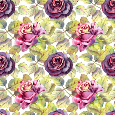 Kusursuz desen. Koyu gül çiçekleri, yeşil yapraklar. Çiçek posteri, davetiye. Tebrik kartı veya davetiye tasarımı için suluboya kompozisyonları.