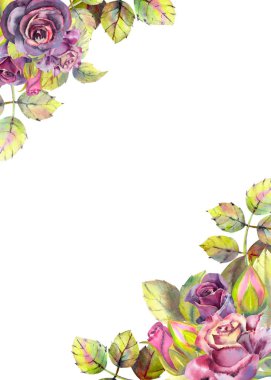 Koyu güllerin çiçekleri, yeşil yapraklar, kompozisyon. Çerçevenin dikey yönü. Düğün çiçekleri kavramı. Çiçek posteri, davetiye. Tebrik tasarımı için suluboya kompozisyonları