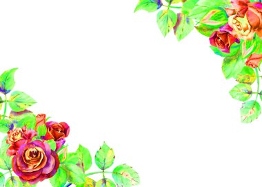 Koyu güllerin çiçekleri, yeşil yapraklar, kompozisyon. Yatay çerçeve yönlendirmesi. Düğün çiçekleri kavramı. Tebrik kartları veya davetiyetasarımı için suluboya kompozisyonları.