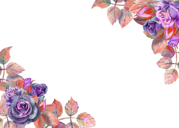 Blüten aus dunklen Rosen, grünen Blättern, Komposition. horizontale Rahmenorientierung. das Konzept der Hochzeitsblumen. Aquarellkompositionen für die Gestaltung von Grußkarten oder Einladungen. — Stockfoto