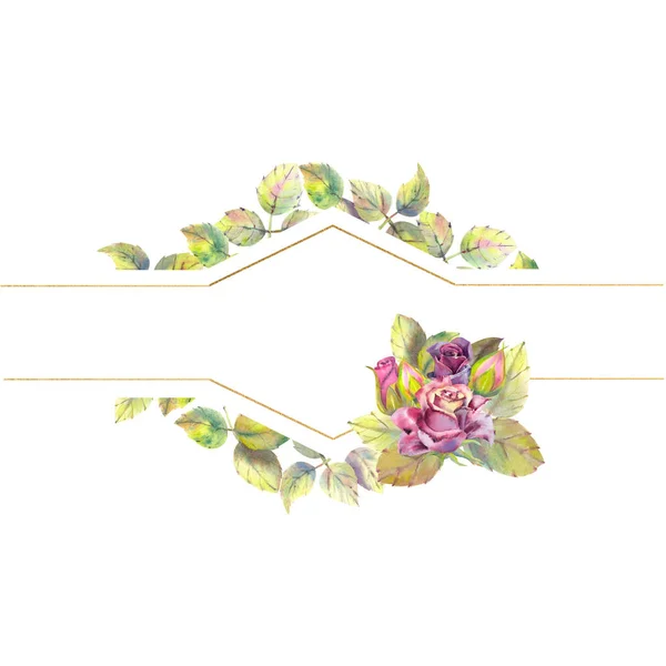 Flowers of dark roses, green leaves, composition. Horizontal frame orientation . The concept of the wedding flowers. Watercolor compositions for the design of greeting cards or invitations. — Stock Photo, Image