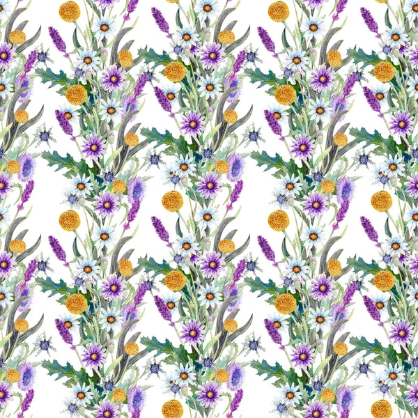 Wild flowers background. Seamless pattern. Wild flowers background Watercolor. — Stock Photo, Image