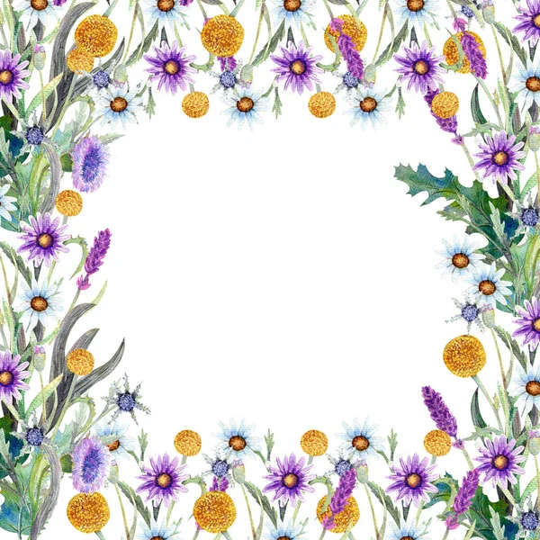 Romantischer Rahmen. Wildblumen in Aquarell. Hochzeitskonzept mit Blumen. Blumenposter, Einladung. Aquarell-Arrangements für Grußkarte oder Einladungsdesign. — Stockfoto