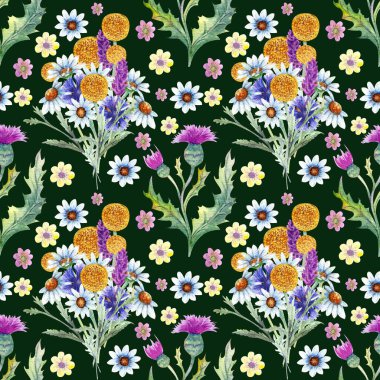 Dikişsiz desen. Alan çiçekleri. Yaz görüntüsü. Suluboya Illustration. Tasarım elemanı