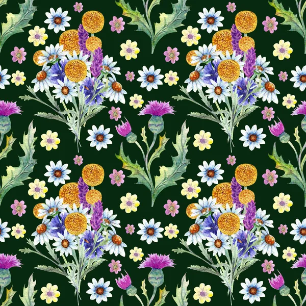 Seamless pattern. Field flowers. The image of summer. Watercolor illustration. Design element — Stock Photo, Image