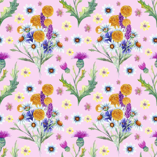 Seamless pattern. Field flowers. The image of summer. Watercolor illustration. Design element — Stock Photo, Image