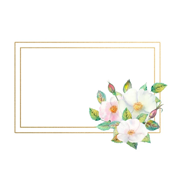 Bloemen van witte roos heupen, rood fruit, groene bladeren, de samenstelling in een geometrische gouden frame. Bloemenposter, uitnodiging. Aquarelcomposities voor het ontwerpen van wenskaarten of uitnodigingen. — Stockfoto