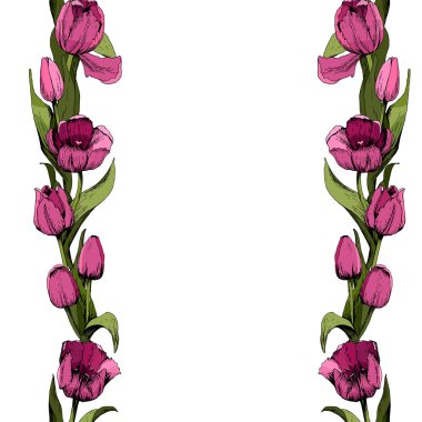 Renkli pembe laleileçerçeve. Renkli laleler ile çiçek dikişsiz arka plan. Bahar havası. Basılı malzemelerin tasarımı. Illüstrasyon
