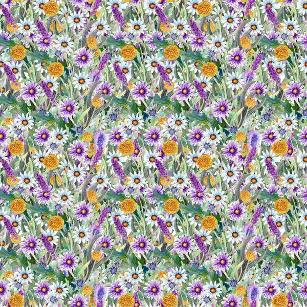 Tle dzikich kwiatów. Jednolity wzór. Dzikie kwiaty w tle akwarela. — Zdjęcie stockowe