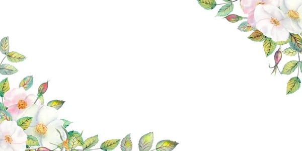 Blüten aus weißen Hagebutten, roten Früchten, grünen Blättern, die Komposition in einem geometrischen Goldenen Rahmen. Blumenposter, Einladung. Aquarellkompositionen für die Gestaltung von Grußkarten oder Einladungen. — Stockfoto