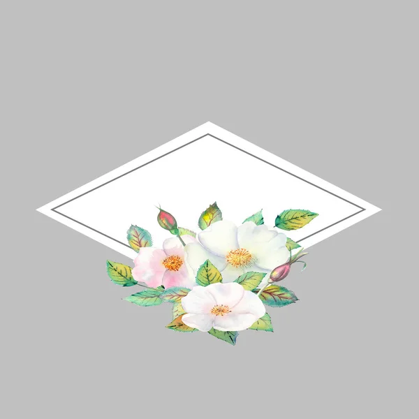 Bloemen van witte roos heupen, rood fruit, groene bladeren, de samenstelling in een geometrische gouden frame. Bloemenposter, uitnodiging. Aquarelcomposities voor het ontwerpen van wenskaarten of uitnodigingen. — Stockfoto