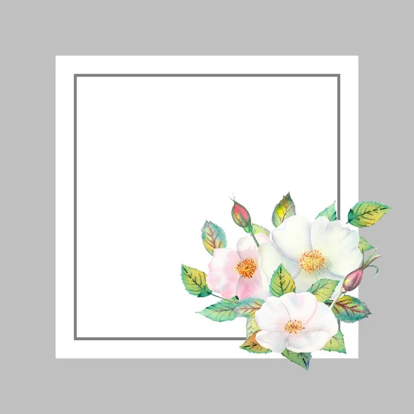 Flores de rosa branca quadris, frutos vermelhos, folhas verdes, a composição em uma moldura dourada geométrica. Cartaz de flores, convite. Composições aquarelas para o design de cartões de felicitações ou convites. — Fotografia de Stock