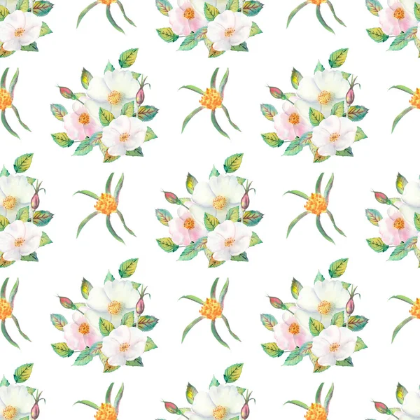 Seamless pattern. Flowers and fruits of rose hips Watercolor. Flower illustrations. Bohemian bouquets of flowers, wreaths, wedding compositions, anniversary, birthday, invitations greeting cards — Stock Photo, Image