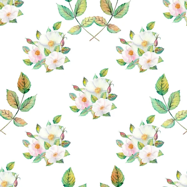 Seamless pattern. Flowers and fruits of rose hips Watercolor. Flower illustrations. Bohemian bouquets of flowers, wreaths, wedding compositions, anniversary, birthday, invitations greeting cards — Stock Photo, Image