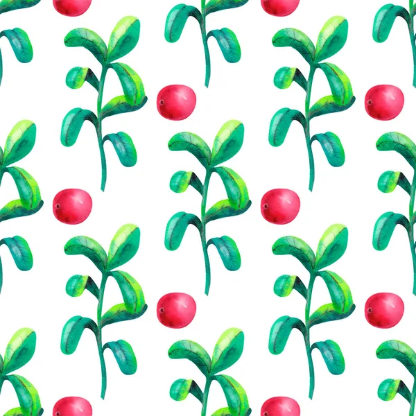 Disegno a mano modello botanico senza soluzione di continuità con cowberry con foglie. Illustrazione ad acquerello. Utilizzo per stampa tessile, carta da imballaggio, packaging design alimentare, marmellata, succo, gelato, cosmetici . — Foto Stock