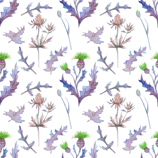 Nahtloses Muster mit Frühlingsblumen und Blättern. Wildblumen auf isoliertem weißem Hintergrund. Blumenmuster für Tapeten oder Stoff. Aquarell-Illustration. Element der Verpackungsgestaltung, Einladungen, po — Stockfoto