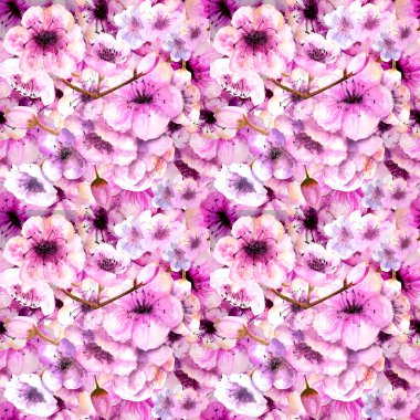 Seamless modeli. Kiraz rengi. Sakura şube pembe çiçekli. Bahar görüntüsü. Çerçeve. Sulu boya resim. Tasarım öğesi.