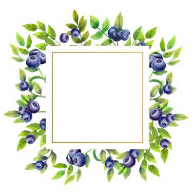 Beyaz izole arkaplanda olgun yaban mersinli altın geometrik çerçeve. Suluboya çizimi.