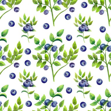 Beyaz izole edilmiş arka planda olgun yaban mersini desenleri. Suluboya çizimi.