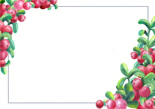 Rijpe cranberries op een witte achtergrond geïsoleerd. Het frame heeft een horizontale oriëntatie. Aquarel. Vector illustratie. — Stockvector
