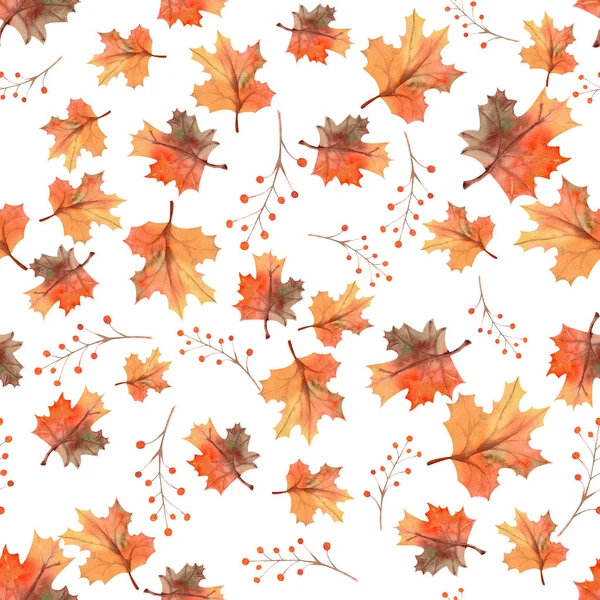 Seamless autumn leaves background, berries on white isolated background. Watercolor illustration — Stock Photo, Image