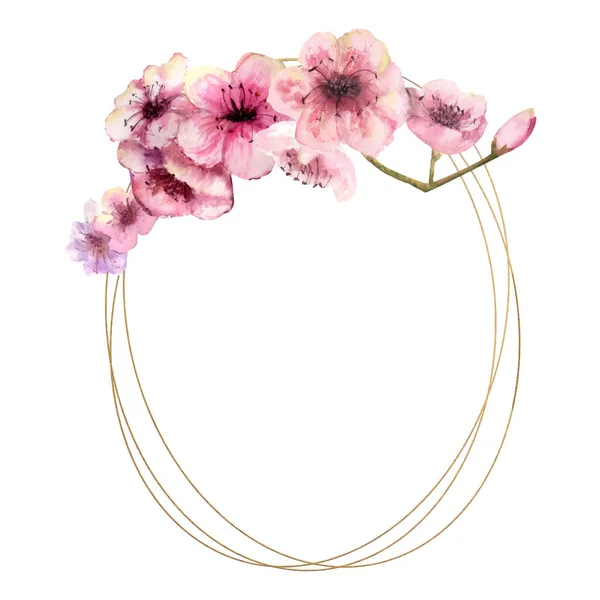 Flor de cerejeira, Sakura Branch com flores cor-de-rosa sobre moldura de ouro e fundo branco isolado. Imagem da primavera. Moldura. Aquarela. Ilustração vetorial . — Vetor de Stock