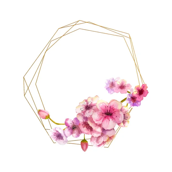 Ανθός κερασιάς, Sakura Branch με ροζ λουλούδια σε χρυσό πλαίσιο και απομονωμένο λευκό φόντο. Εικόνα της άνοιξης. Σκελετός. Υδατογραφία. Εικονογράφηση διανύσματος. — Διανυσματικό Αρχείο