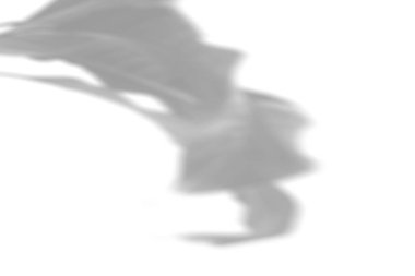 Yaz bitkisi arka planı. Beyaz duvardaki Spatthiphyllum çiçeğinin gölgesi. Fotoğraf ya da maketi üst üste koymak için siyah ya da beyaz.