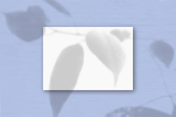Horizontal Sheet White Textured Paper Blue Wall Background Mockup Overlay — Stock Photo, Image