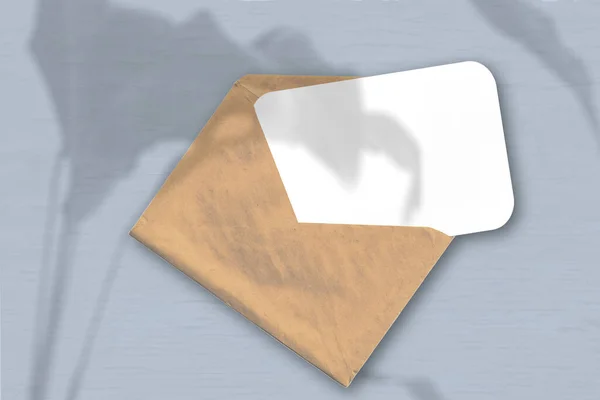 一个信封 上面灰色的背景上有一张白纸 用植物阴影包裹起来的模型 自然光从奇异的植物上投射出阴影 横向方向 — 图库照片