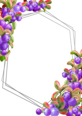 Beyaz arka planda olgun irgi çilekleri olan dikey çerçeve. Grafik elementi. Suluboya çizimi