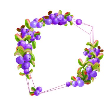 Beyaz arka planda olgun irgi üzümlü bir geometrik çerçeve izole edilmiştir. Grafik elementi. Suluboya çizimi.