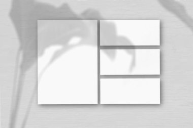 Gri bir duvarın arka planında birkaç yatay ve dikey beyaz desenli kağıt. Doğal ışık, egzotik bir bitkinin gölgesini oluşturur. Düz yerde, üst tarafta. Yatay yönelim