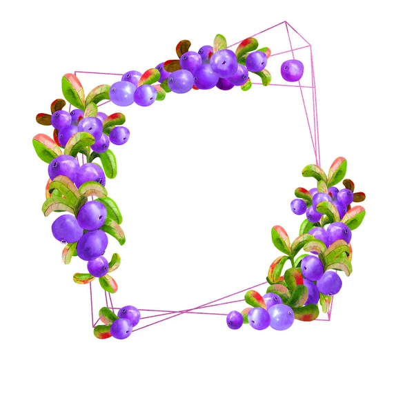 Aísla Marco Geométrico Con Bayas Irgi Maduras Sobre Fondo Blanco — Foto de Stock