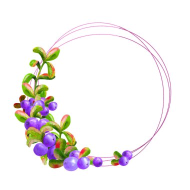 Beyaz arka planda olgun irgi üzümlü bir geometrik çerçeve izole edilmiştir. Grafik elementi. Suluboya çizimi.